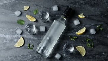 7 мифов о водке, в которые до сих пор верят миллионы 7 мифов о водке, в которые до сих пор верят миллионы