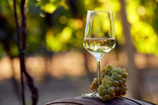 Белое вино: История, виды и как выбрать лучшее