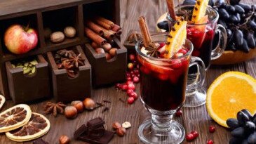 Какое вино лучше подходит для глинтвейна? + рецепт. Какое вино лучше подходит для глинтвейна? + рецепт.