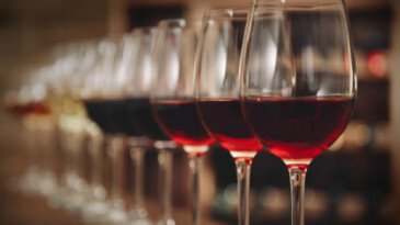 Температура подачи вина. Рекомендации сомелье Температура подачи вина. Рекомендации сомелье