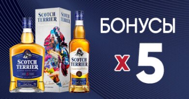 х5 на Скотч Терьер