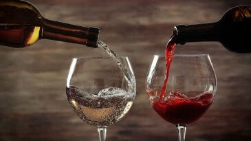 Что такое тельность вина? Все, что нужно знать о теле напитка. Что такое тельность вина? Все, что нужно знать о теле напитка.