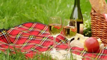 «Топ-5 напитков на майские выходные: выбор, который дополнит шашлык и хорошее настроение»