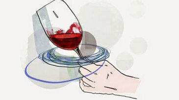 Для чего нужен диоксид серы в вине? Мифы и реальность о Е220