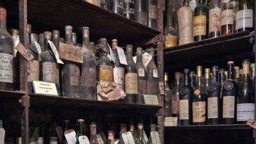 История появления алкоголя. Как появился первый алкогольный напиток? История появления алкоголя. Как появился первый алкогольный напиток?