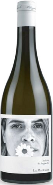 ВИНО МАЛЬВАЗИЯ ДЕЛЬ ПОДЖИАРЕЛЛО ЛА МАЛВАДЖИА БЕЛ СУХ 13,5% 0,75Л